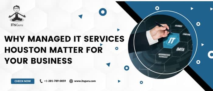 Why Managed IT Services Houston Matter for your Business