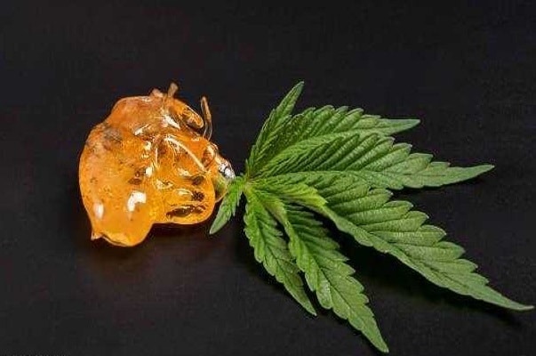 cannabis extracts