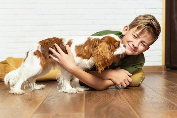 5 Things To Consider When Adopting A Pet