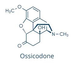 ossicodone