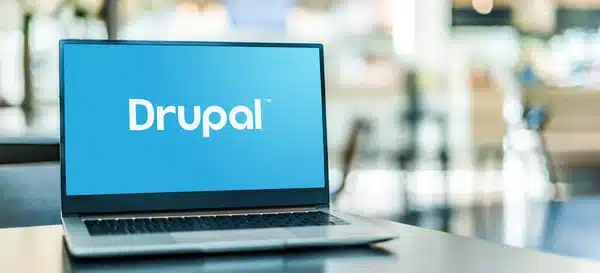 Drupal Development Services in 2023