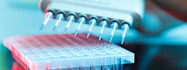 Global Gene Panel Market to Witness Growth by a CAGR of ~22% throughout 2022 – 2030; Growing Incidences of Genetic Diseases and Cancer to Fuel the Market Growth