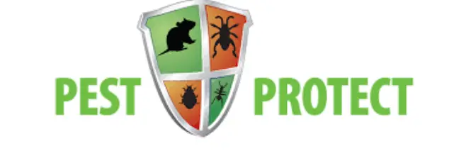 Pest Control Experts in London – Pest Protect