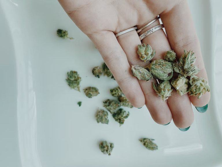 How to Keep Your Weed Fresh and Potent For Long Time?