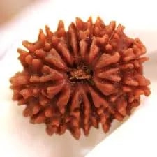 Understanding the Factors that Affect Rudraksha Mala Prices