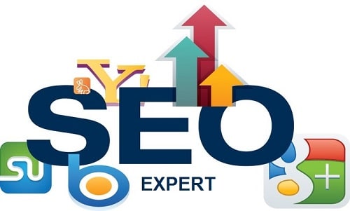 SEO Freelancer in Delhi | Freelance SEO & PPC Expert India