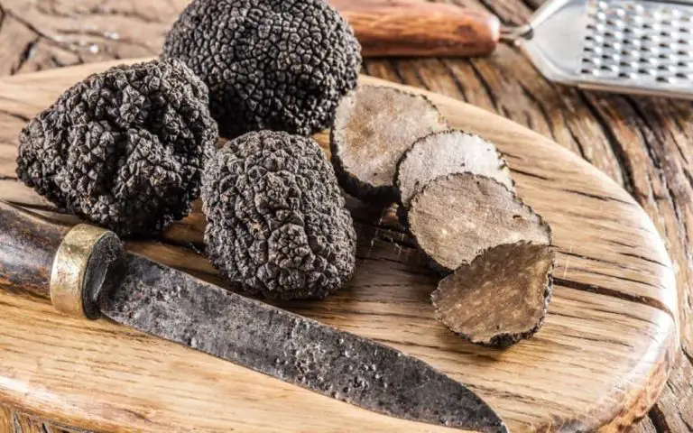 Buy Truffle Mushroom: Where To Buy Truffle Mushrooms Near Me