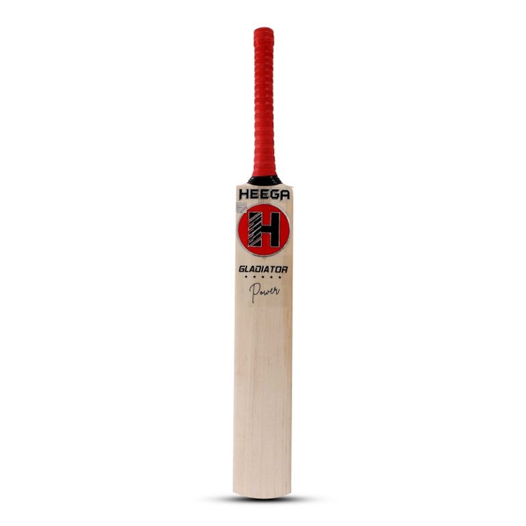 How to Choose A Professional Kashmir Willow Cricket Bat?