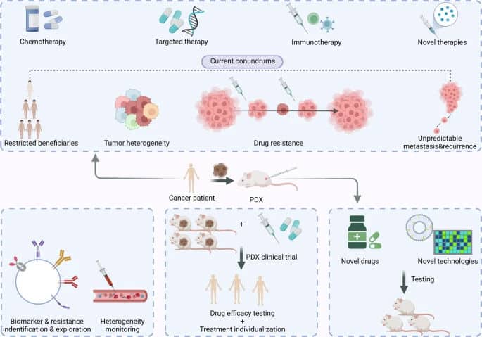 PDX for a New Era in Cancer Therapy