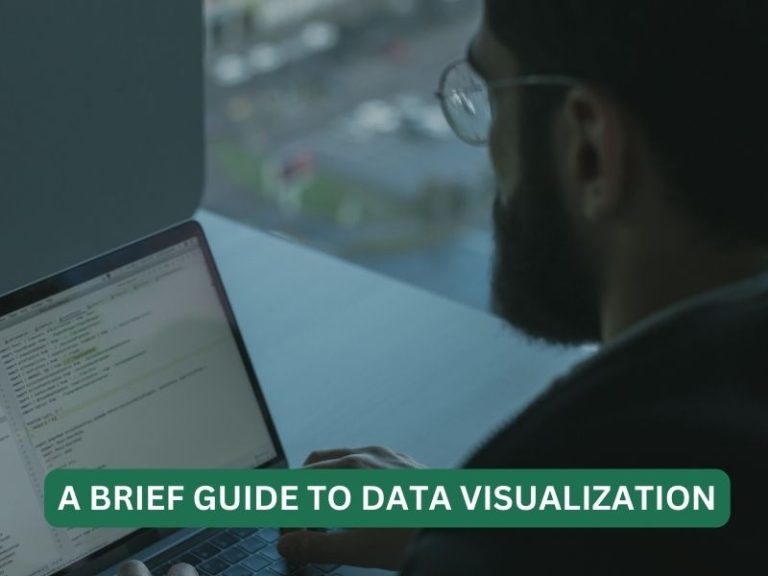 A Brief Guide to Data Visualization