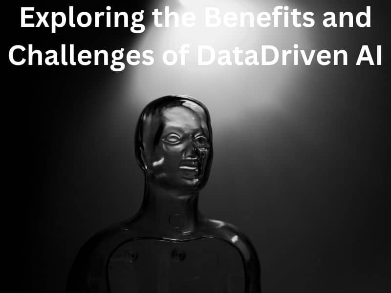 Exploring the Benefits and Challenges of Data-Driven AI