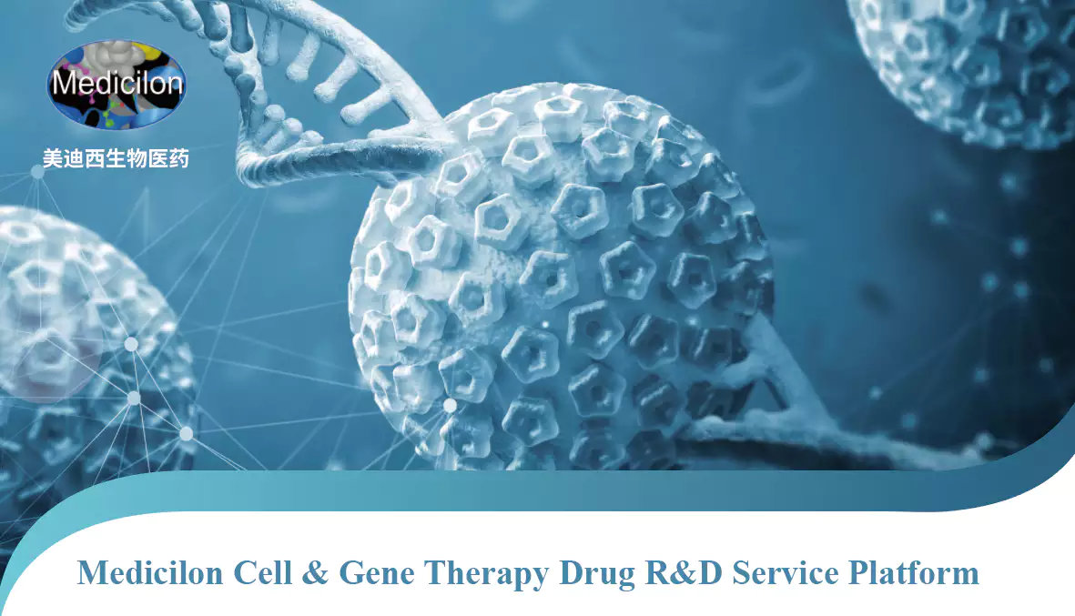 Medicilon Cell & Gene Therapy Drug R&D Service Platform