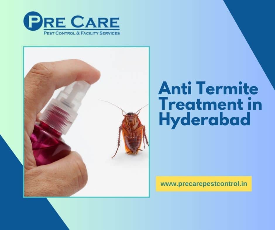 Anti Termite Treatment in Hyderabad  Pre Care Pest Control