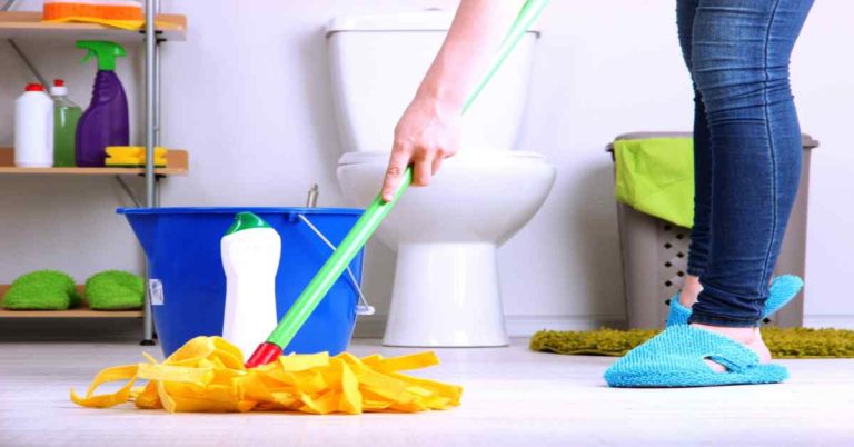 Cleaning and Disinfecting Bathroom Brushes and Accessories