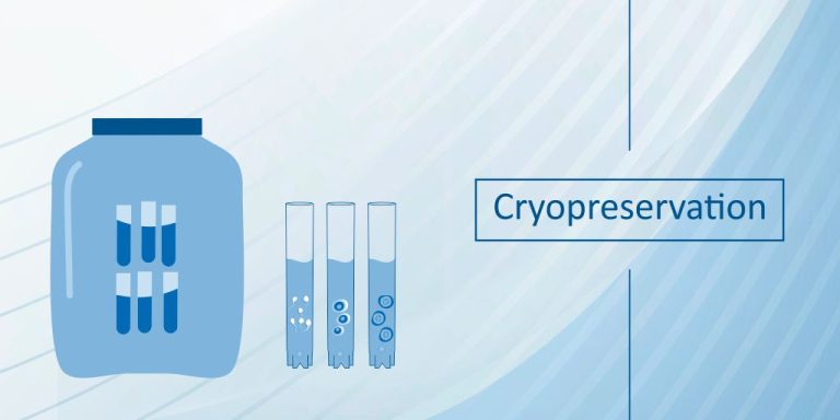 Cryopreservation and Safety Concerns