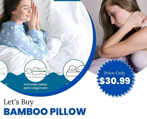 Essence Of Bamboo Pillows