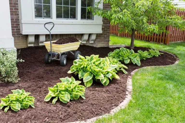 Maximize Greenery and Minimize Stress: How Professional Landscapers Can Help