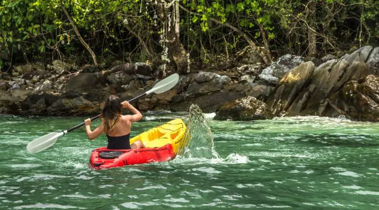 Mangrove Kayaking in Goa