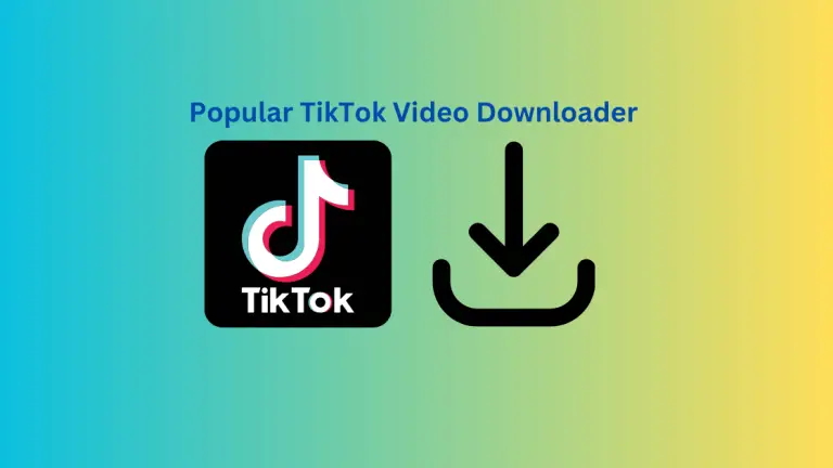 Top 3 TikTok Video Downloader [ How To Download TikTok Videos]