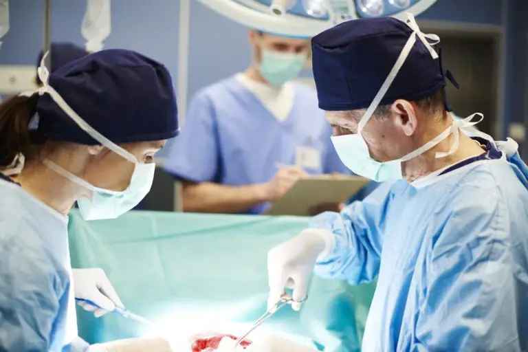 Transplantation Market Share, Growth Opportunities, Trends, and Forecast 2024-2032