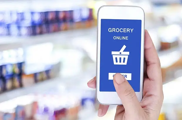 Vietnam Online Grocery Industry