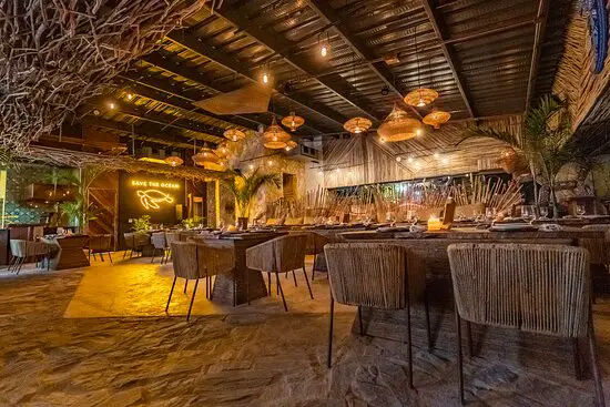 Where to eat in Tulum