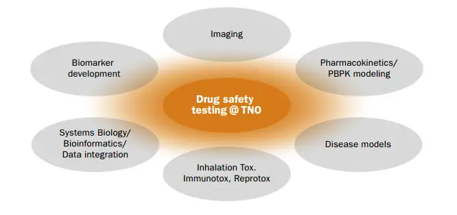 drug-safety-assessment