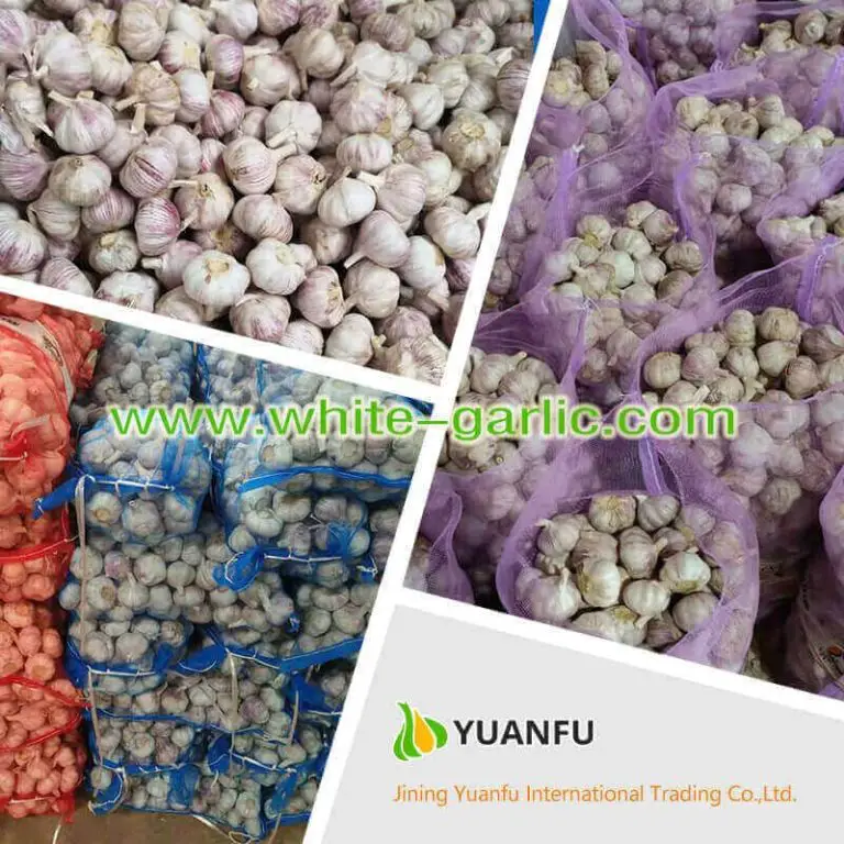 Hire Garlic Sellers and Buy High-Quality Garlic
