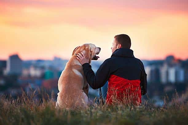 Canine Gifts For Canine Sweethearts