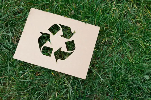 The Astonishing Benefits of Recycling: Did You Know About These Facts?