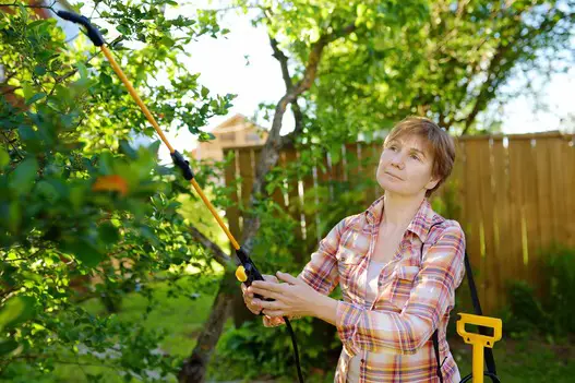 How Professional Pest Control in Baltimore Benefits Homeowners