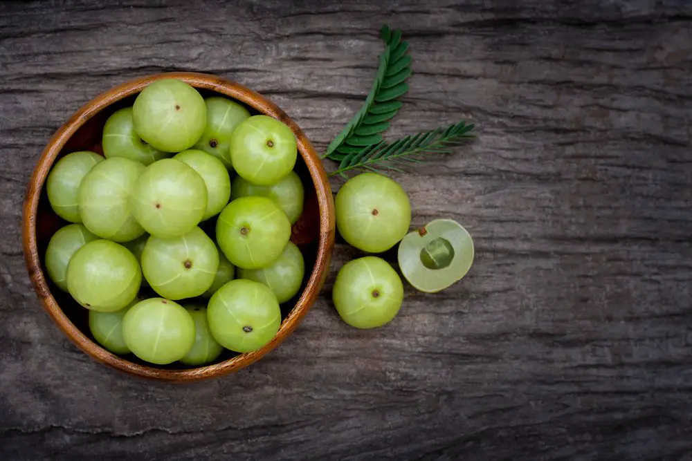 Amla Health Benefits For Good Health