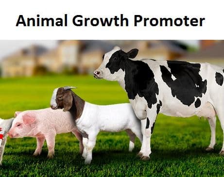 Animal Growth Promoters Market Size, Trends, Growth, and Forecast by 2028