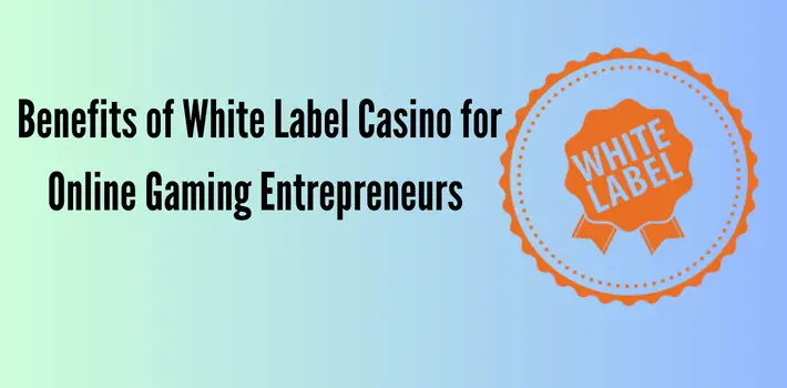 Benefits of White Label Casino for Online Gaming Entrepreneurs
