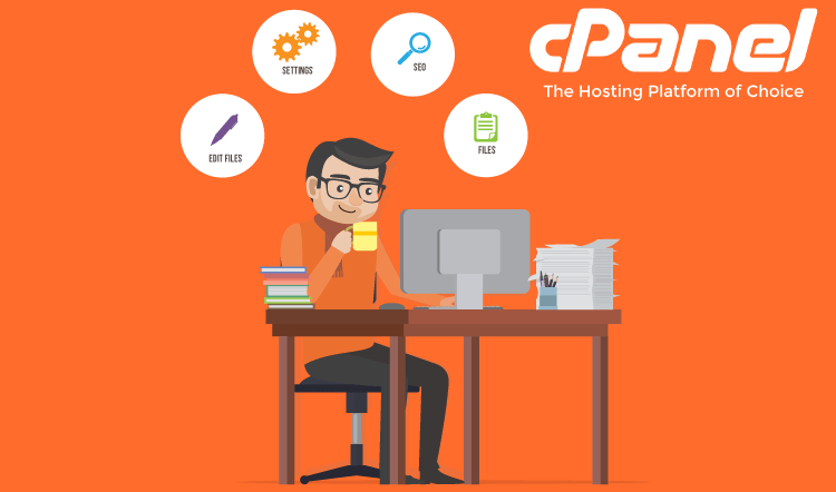 Cheap Website Hosting – cPanel Is The Best Option