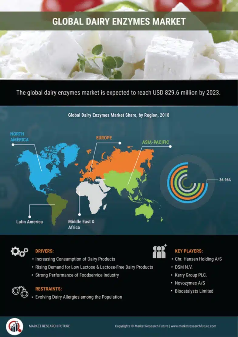 Dairy Enzymes