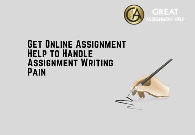 Get Online Assignment Help to Handle Assignment Writing Pain - TheOmniBuzz