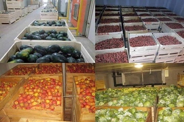 India Agricultural Cold Storage Market