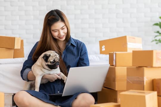 Pet Travel Services Market Companies, and Competitive Landscape During 2018-2028