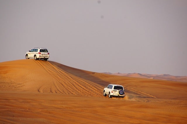 Experience the Beauty of Abu Dhabi’s Desert with a Morning Safari Adventure