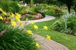 Eight Things to Consider While Hiring a Landscape Contractor