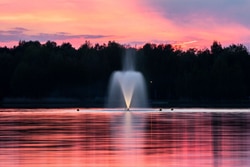 Five Methods To Transform Your Pond Into A Stunning Oasis With The Right Fountain Pump