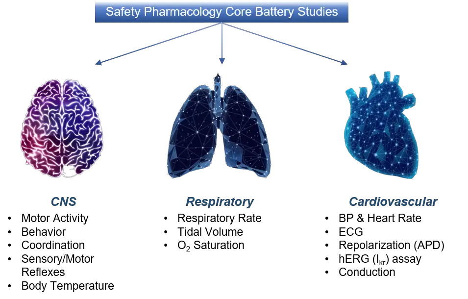 Safety-Pharmacology-Core-Battery-1