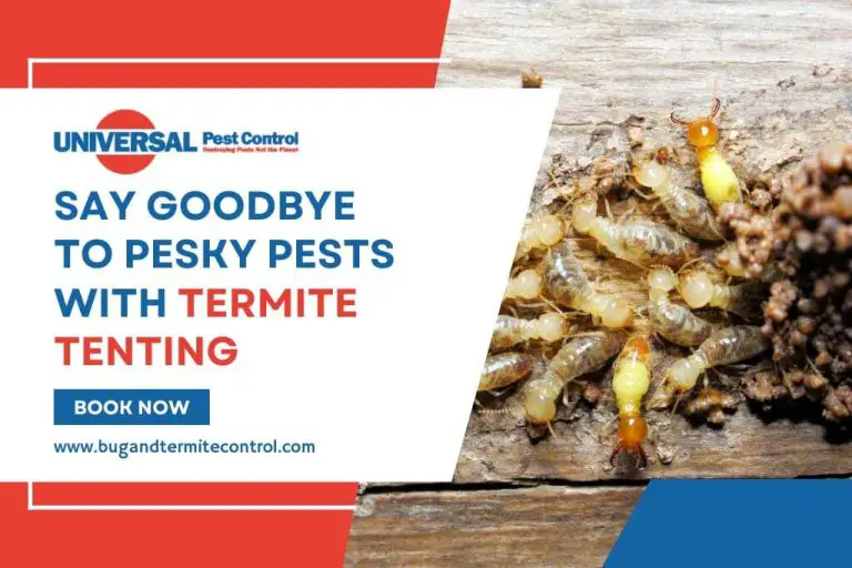 How to Prepare for Termite Tenting: Say Goodbye to Pesky Pests