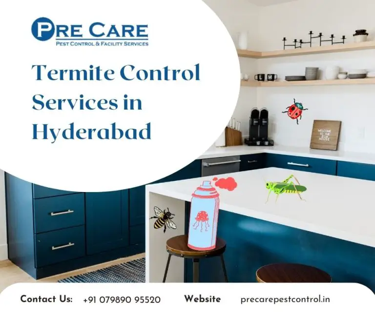 Termite Control Services in Hyderabad | Pre Care Pest Control