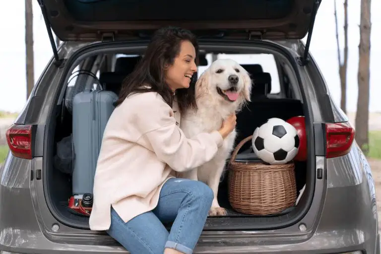 Traveling With Pets? 5 Laws You Should Know