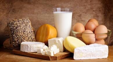 UAE Dairy Products Market Size, Growth, Trends, Opportunities, and Demand Forecast to 2016-2026