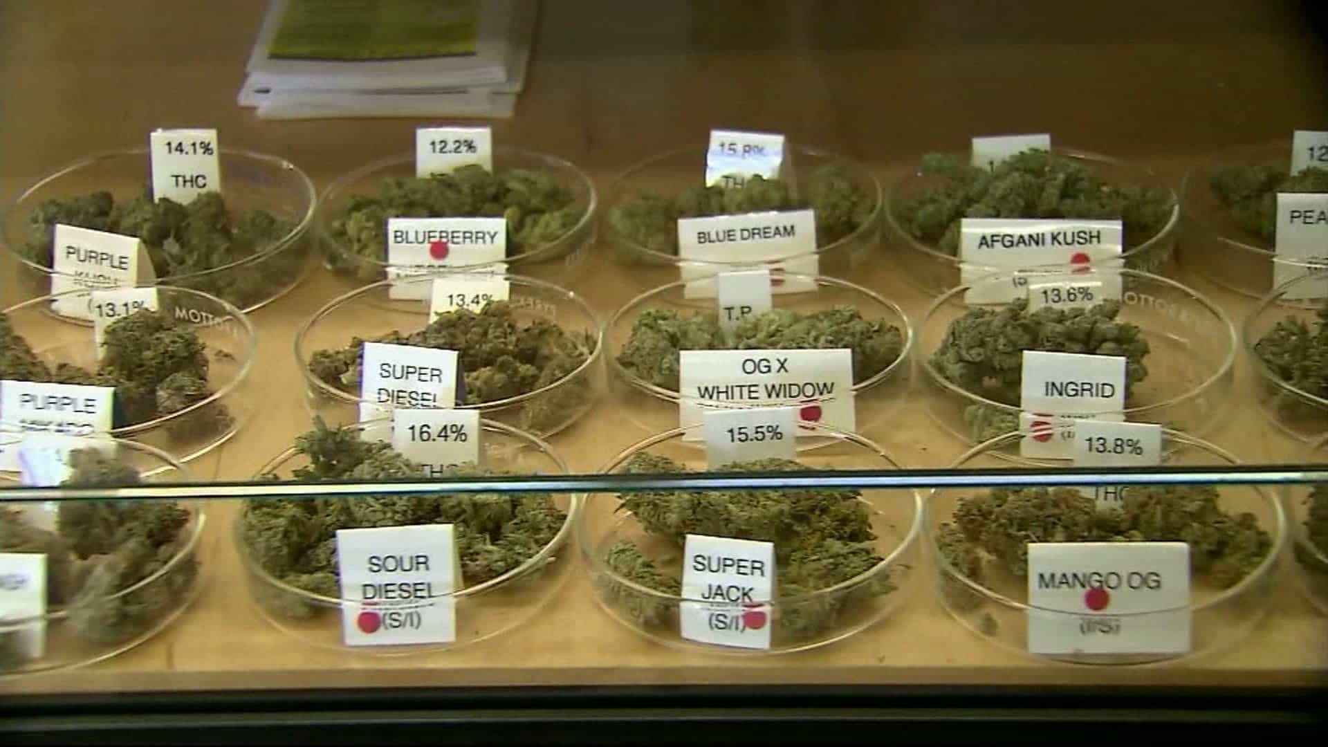 Where To Buy Weed In Berkeley