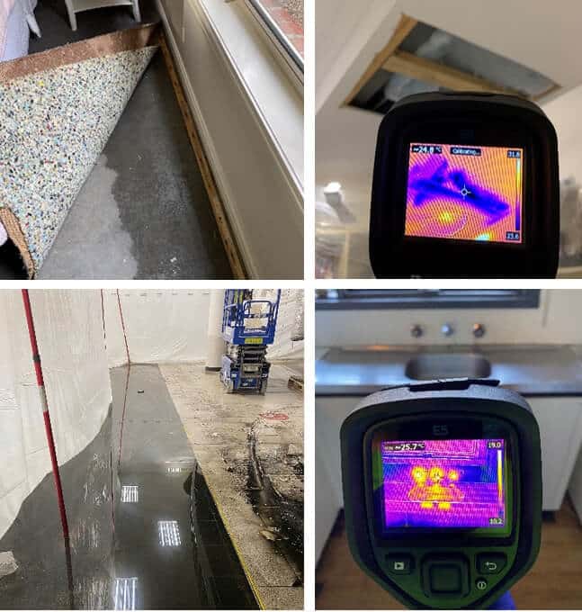 Respective Action Of Water Damage Carpet Restoration