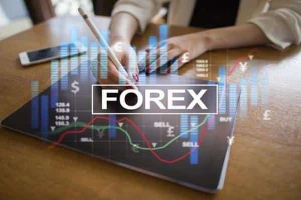 An Online Guide To Forex Trading And Forex Trading Systems